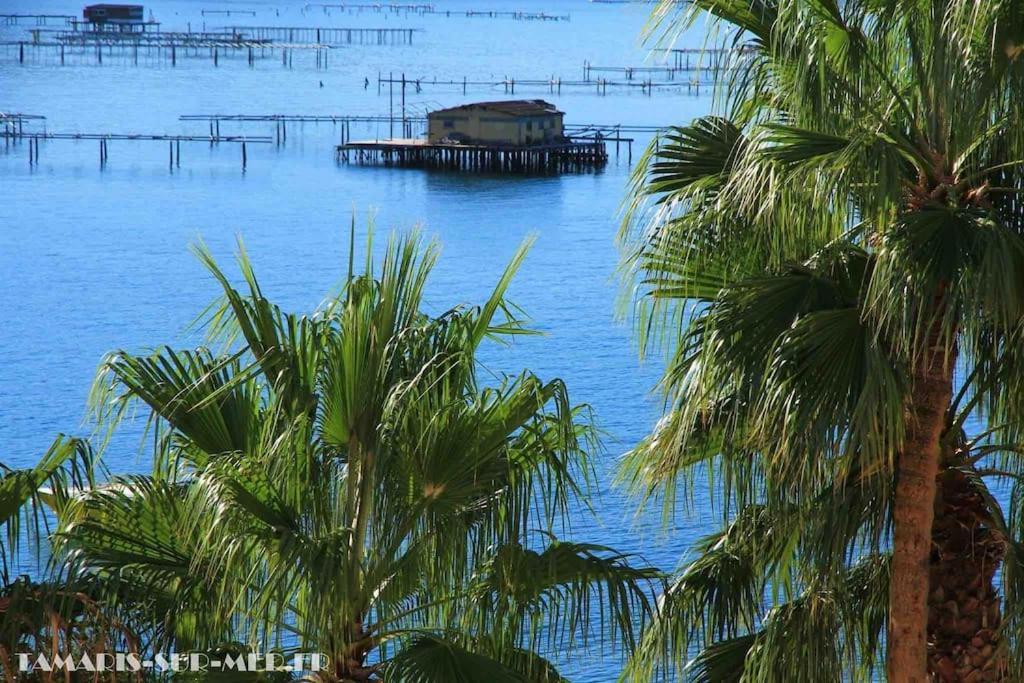 La Digue, 2 Chambres, Vue Mer Et Piscine La Seyne-sur-Mer Εξωτερικό φωτογραφία