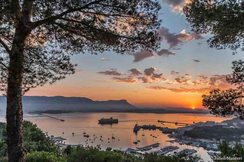 La Digue, 2 Chambres, Vue Mer Et Piscine La Seyne-sur-Mer Εξωτερικό φωτογραφία