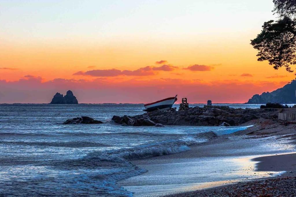 La Digue, 2 Chambres, Vue Mer Et Piscine La Seyne-sur-Mer Εξωτερικό φωτογραφία